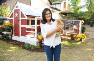 ‘Townies’ and backyard chickens: a feathered fascination