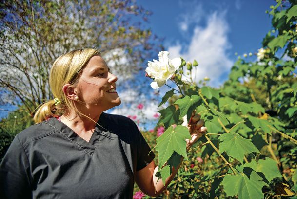 Southern Gardening: Heirloom Confederate rose thrives across state