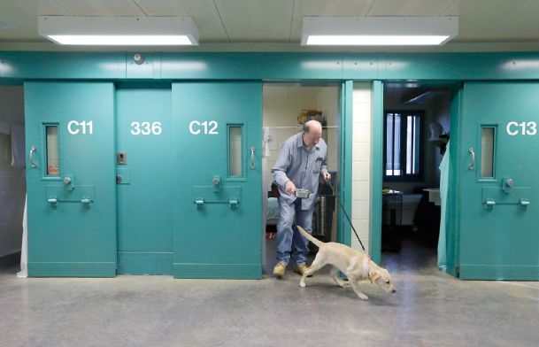 Incarcerated veterans train dogs for other vets