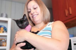 Kitten goes for 100-mile ride on NY woman’s bumper