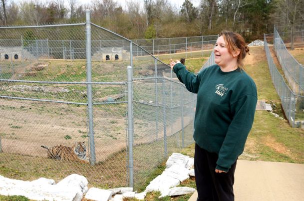 Creatures great and small: Cedarhill still offers sanctuary to big (and little) cats in need of a home