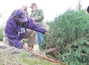 Going fast: Sales brisk at local Christmas tree farm