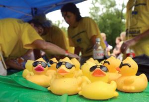 Quack attack! Habitat’s Duck race set for Saturday