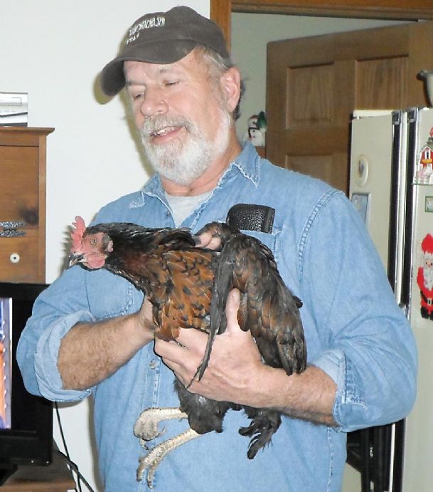 Wis. couple says pet chicken alerted them to house blaze