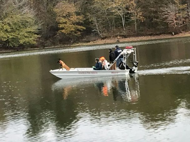 Natural hunters: Search dogs aid law enforcement in criminal investigations, weather disasters