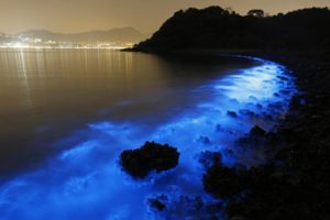 Magnificent blue glow of Hong Kong seas also disturbing