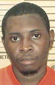 Oktibbeha man accused of sex with horse