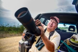 Photo: Searching for the scissor-tailed flycatcher