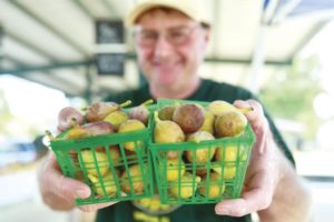 And for her next act, Mother Nature presents sweet, luscious figs