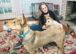 Local women form group to give shelter animals 11th-hour reprieves