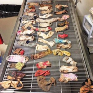 Surgery on ailing Great Dane yields 43½ socks