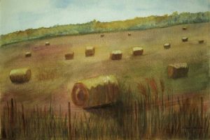 Hairston’s ‘Prairie Images’ exhibit opens in West Point