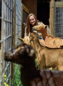 Hands on: This budding entrepreneur and would-be veterinarian thinks goats are cool