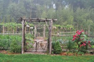 Vegetable gardens can be pretty as well as functional