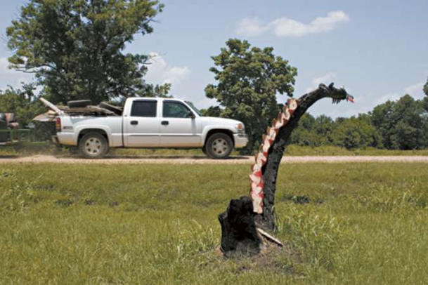 Enter the dragon: Neighbors care for tree that watches over Highway 45