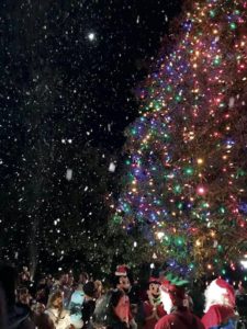 Catch the spirit at Columbus’ Christmas tree lighting