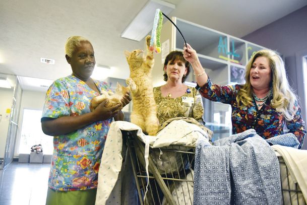 Hospital lends warmth to humane society