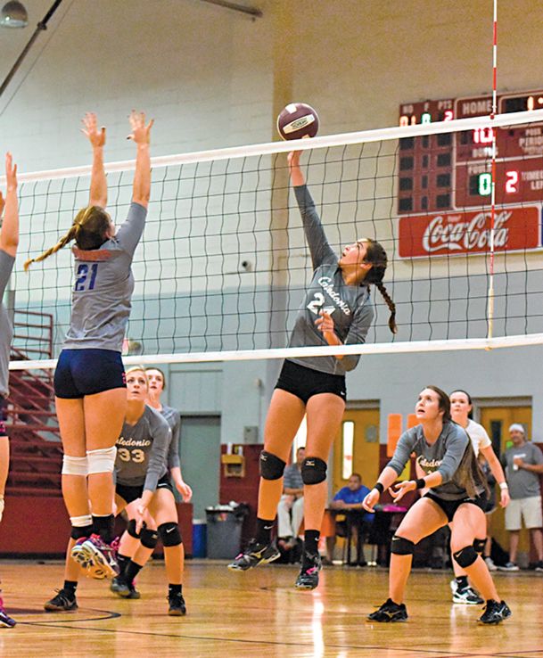 Caledonia volleyball team loses to Lewisburg