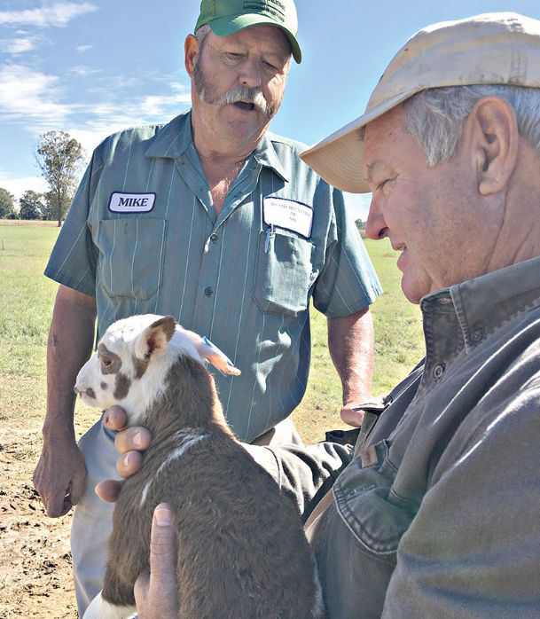 Partial to Home: Nothing sheepish about these Algomians