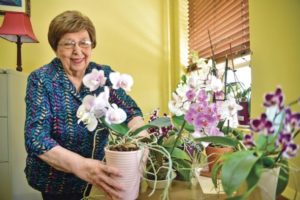 Orchids find a sweet spot with unintentional gardener