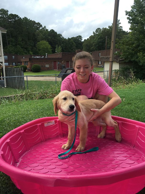 Christmas comes a few days early for humane society