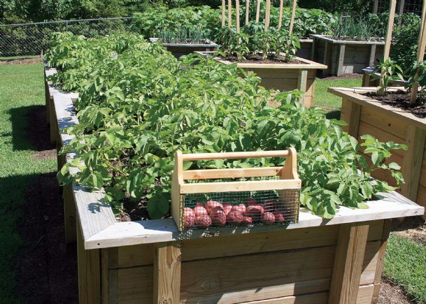 Southern Gardening: Simple concepts make accessible gardening