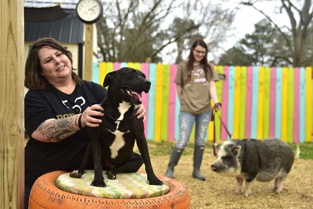 Pits and pigs: An animal rescue looks to make a move, launches campaign