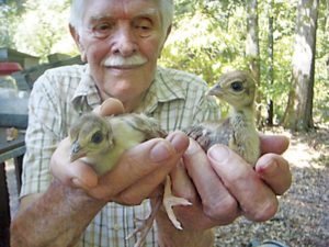 Robert Snow, Waverley Mansion renovator, passes away at 91