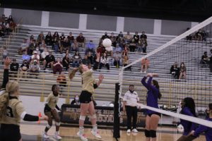 Prep volleyball playoffs: New Hope volleyball powers up for sweep of Cleveland Central in first-round playoff match