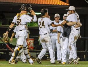 New Hope advances in baseball playoffs