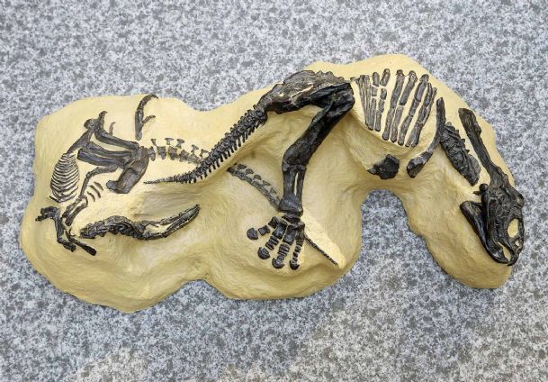 ‘Montana Dueling Dinos’ to sell at auction