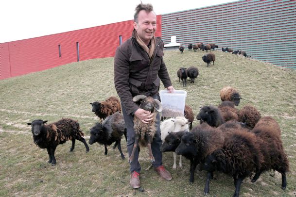 Ewes-ful: Paris hires sheep to mow city lawns