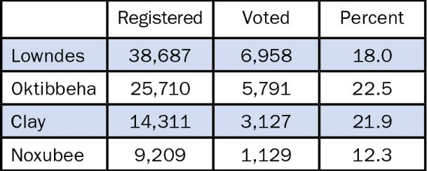 Area voter turnout less than 20 percent