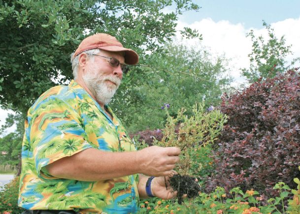 Southern Gardening: Plant problems require good detective work