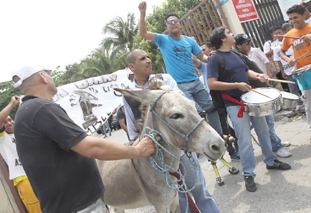 Ecuador officials reject donkey as candidate