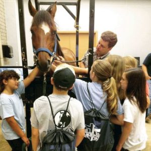 Area veterinarian honored for ‘good works’ for horses