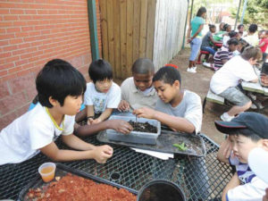 Fun on the Hill: Starkville program promotes healthy eating, living for kids