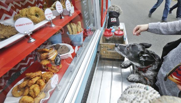 Food truck for Fido: New Seattle business caters to canines