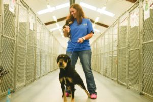 Bigger and brighter — Columbus’ new Humane Society shelter hosts open house Oct. 29
