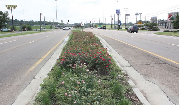 Committee considers Highway 45 corridor face-lift