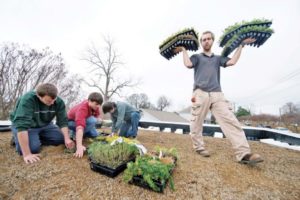 MSU landscape architecture to host National Collegiate Landscape Competition