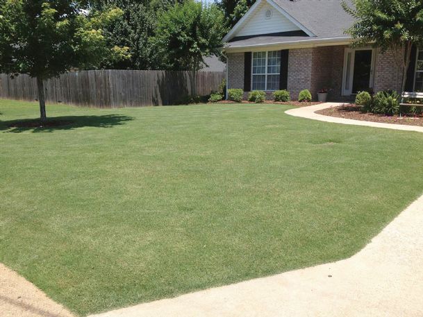 Local landscapes: The perfect lawn: Is it possible?