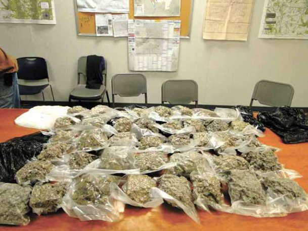 Police seize 40 pounds of weed in raid