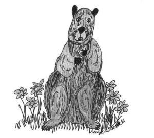 Possumhaw: Woodchucks, whistle pigs, land beavers
