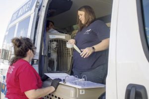 Wings of Rescue: Local shelters’ first transfer flight moves 74 dogs, cats to Delaware shelter