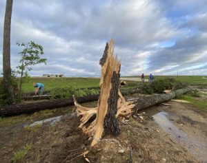 Easter storms sweep South, killing at least 20 people