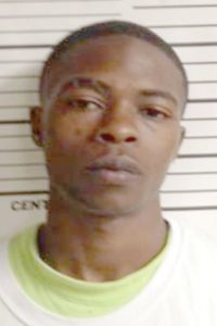 Starkville man in custody after brawl