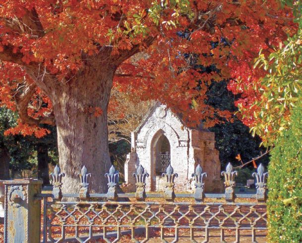 Ask Rufus: Friendship Cemetery, a walk through history