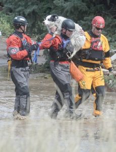 Colorado makes massive rescue ‘pet friendly’