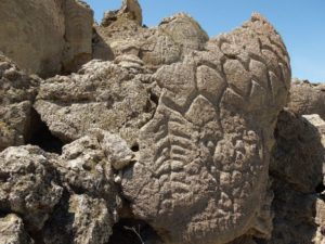 Nevada petroglyphs the oldest in North America